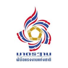 8_skill standard_Logo